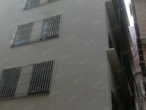 浦江路边整栋600平新楼有电梯出售
